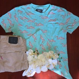 Creative Destruction Pink flamingo t-shirt